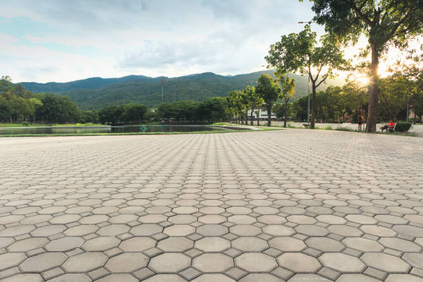 Best Brick Driveway Pavers  in Umatilla, FL