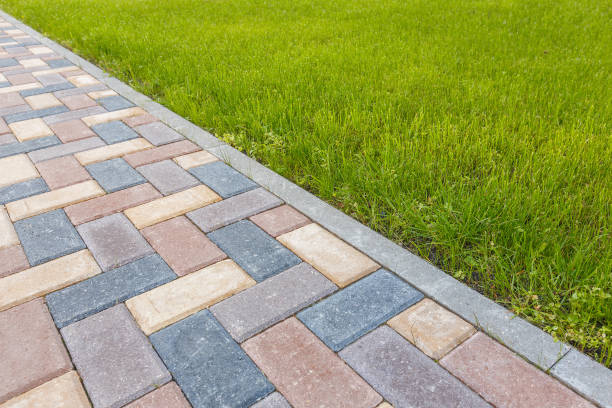 Best Professional Driveway Pavers  in Umatilla, FL